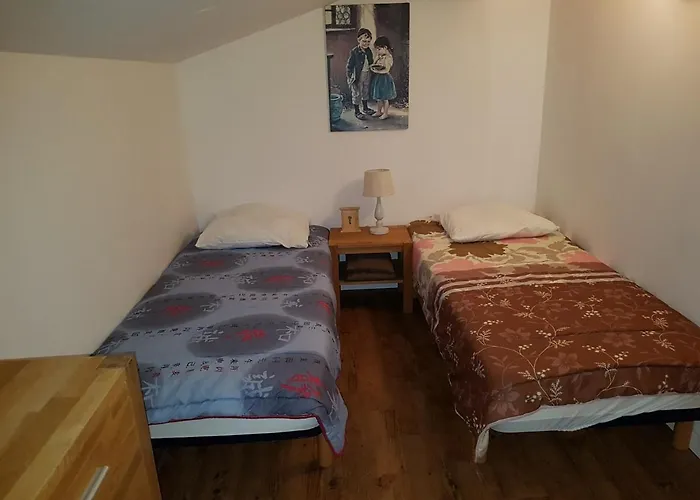 Maison Climatisee Avec Jardin, Proche Et Commerces, Animaux Acceptes - Fr-1-494-40 *