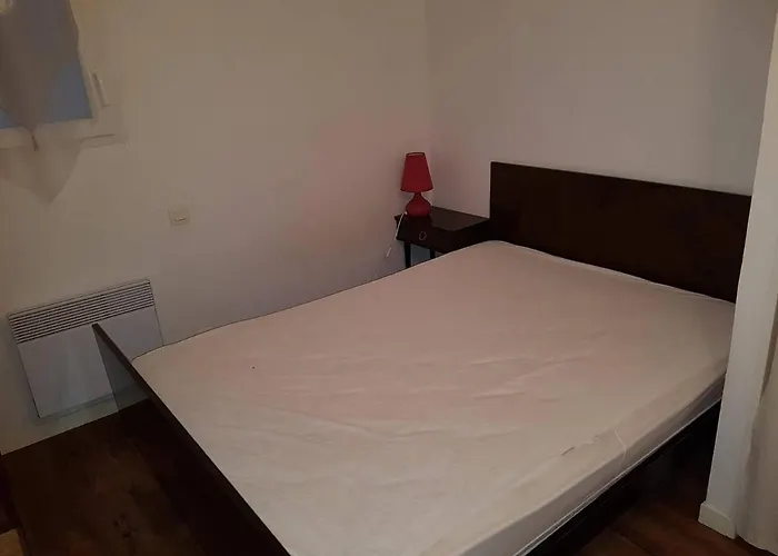 بيت للعطل Maison Climatisee Avec Jardin, Proche Et Commerces, Animaux Acceptes - Fr-1-494-40 *